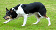 Eryri Nan