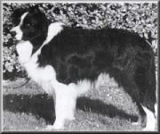 Mizanne the Perno of Caristan
