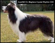 Maghera Crystal Rhythm