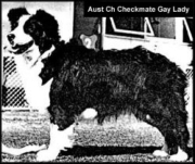 Checkmate Gay Lady