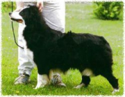 Wagaway Sally