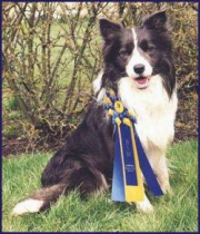 Whenway Decorated Hero