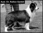 Rullion Gambit