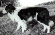 Glen