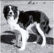 Ben