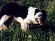 Ben Of Hegnenberg